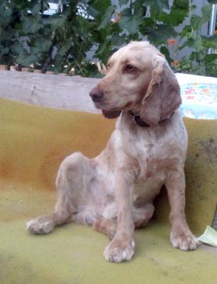 Прикрепленное изображение: IMG_0409.jpg